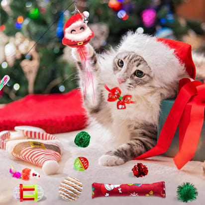 Cat Christmas Calendar – 24 Toy Gifts