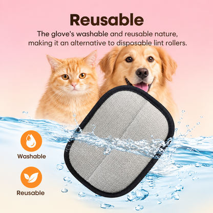 PetFur Remover Glove